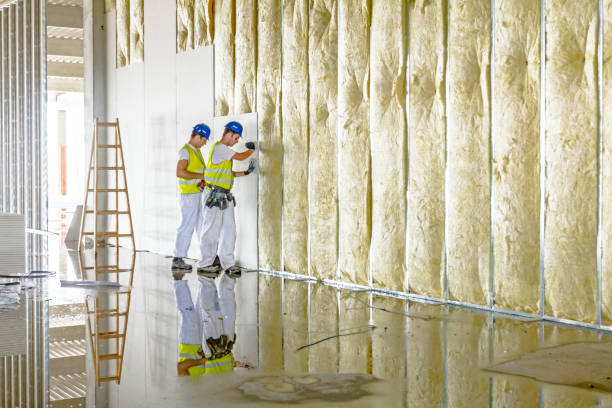 Best Insulation Installation Services in Castlewood, VA
